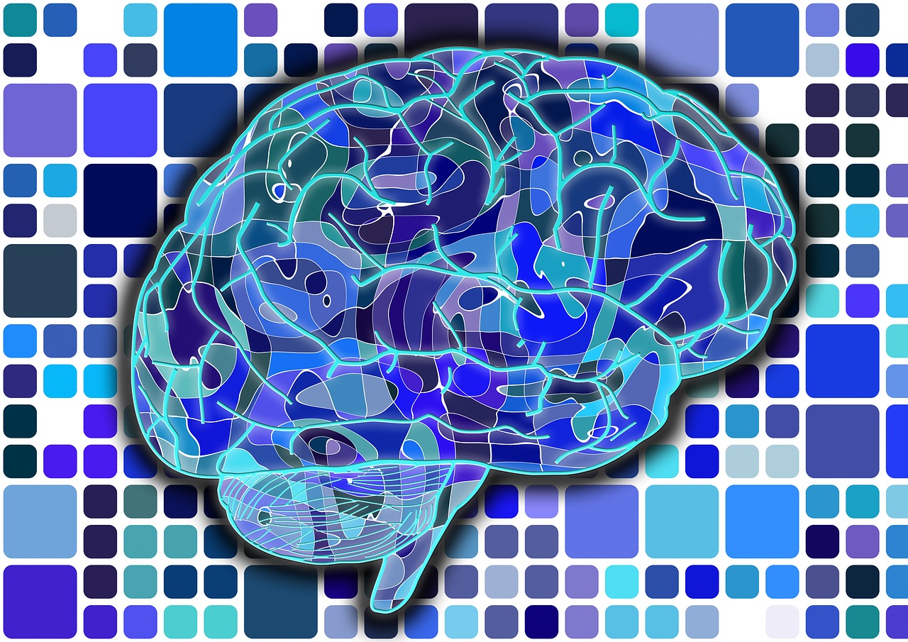 中国脑计划重大进展：首度解码人脑“中央处理器”，脑细胞 ...